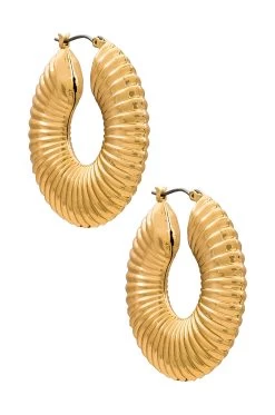Coil Hoops Gold