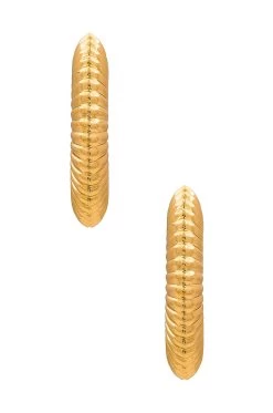 Coil Hoops Gold 7 Coil Hoops Gold -Fashion Women's Clothing Store 8OTH WL1611 V3