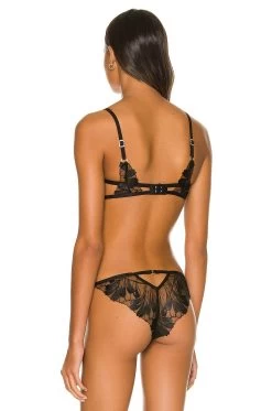 BLUEBELLA Colette Bra Black -Fashion Women's Clothing Store BEBE WI244 V3