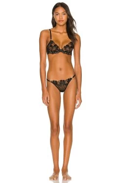 BLUEBELLA Colette Bra Black -Fashion Women's Clothing Store BEBE WI244 V4