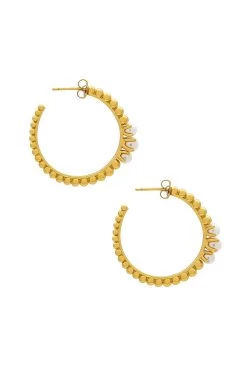 OHRRINGE LUCIANA Gold -Fashion Women's Clothing Store JMAC WL25 V3