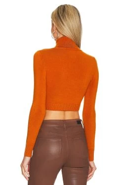 Long Sleeve Crop Turtleneck Sweater Caramel 8 Long Sleeve Crop Turtleneck Sweater Caramel -Fashion Women's Clothing Store JOOR WK37 V3