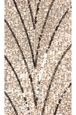 X REVOLVE Coreen Gown Champagne & Black -Fashion Women's Clothing Store MELR WD524 V4